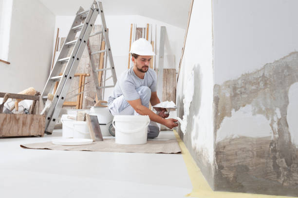 Best Fire-Damaged Drywall Repair  in Hagerstown, MD